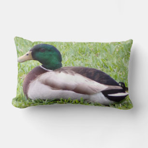 Cojín Lumbar Pillow del pato