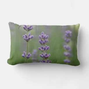 Cojín Lumbar Pillow Lumbar de Dainty Lavender