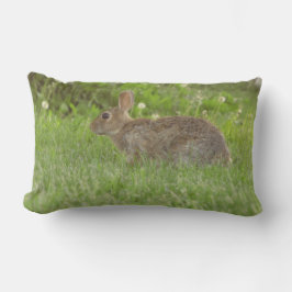 Cojín Lumbar Pillow: Suavidad en la vida