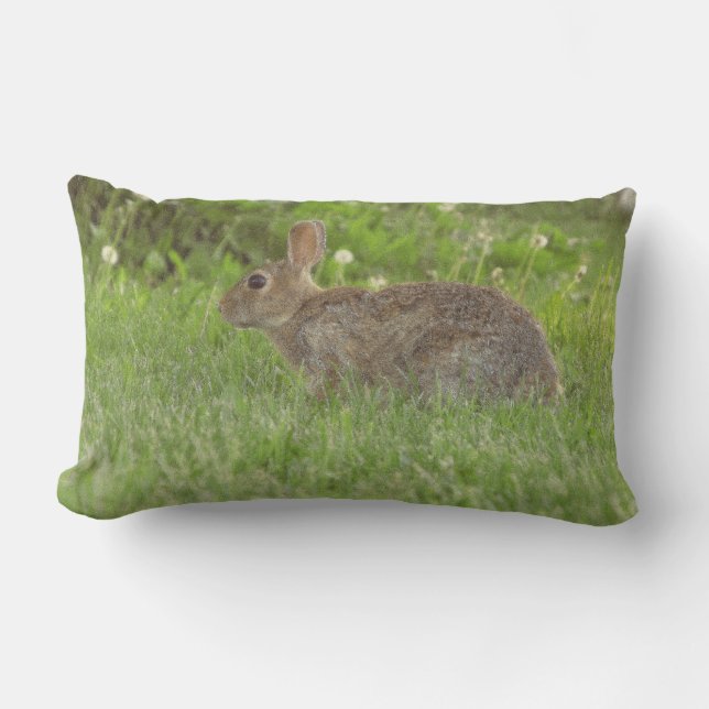 Cojín Lumbar Pillow: Suavidad en la vida (Anverso)