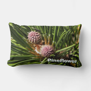 Cojín Lumbar Pinefluente
