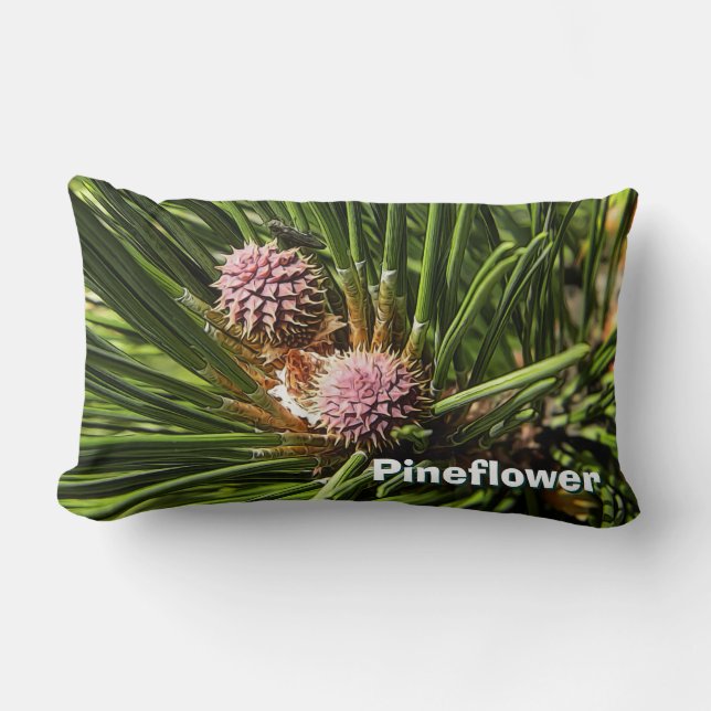 Cojín Lumbar Pinefluente (Anverso)
