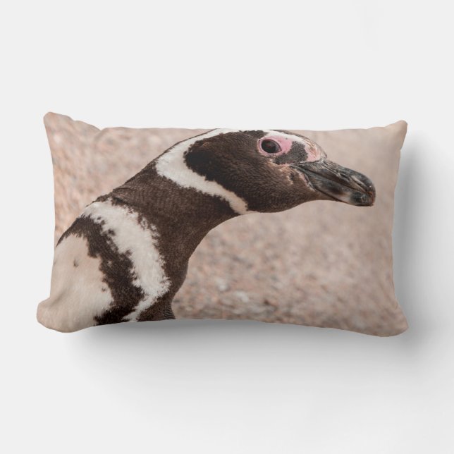 Cojín Lumbar Pingüino Magallánico, Patagonia, Argentina (Anverso)