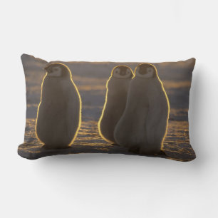 Cojín Lumbar Pingüinos Emperadores