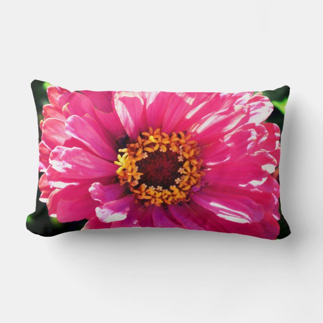 Cojín Lumbar Pink Zinnia (Anverso)