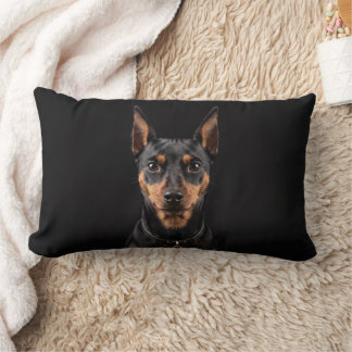 Cojín Lumbar Pinscher enano aislado sobre fondo negro
