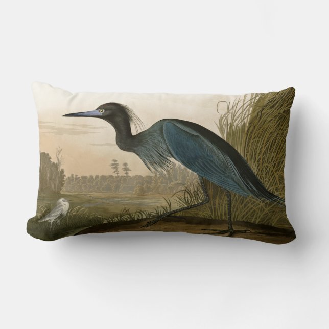 Cojín Lumbar Pintura de Blue Crane Heron Audubon (Anverso)