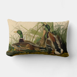 Cojín Lumbar Pintura de pájaro de Mallard Duck Audubon