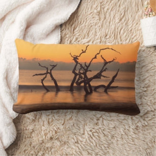 Cojín Lumbar Playa Driftwood al amanecer Jekyll Island Georgia
