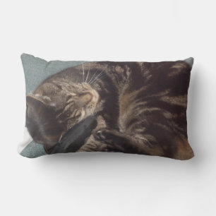 Cojín Lumbar Playous Dave Lumbar Pillow