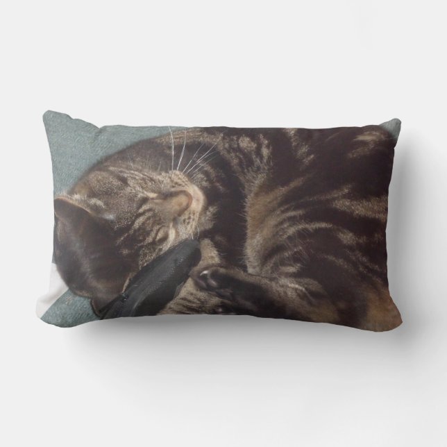 Cojín Lumbar Playous Dave Lumbar Pillow (Anverso)