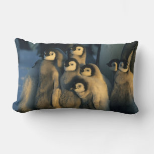 Cojín Lumbar Polluelos de pingüino emperador en guardería, Apte
