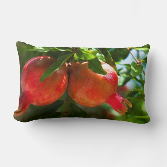 Cojín Lumbar Pomegranato (Anverso)