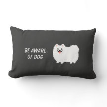 Pomeranian blanco mullido lindo - sea consciente