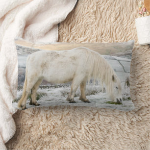 Cojín Lumbar Poni Fell blanco en páramo en invierno