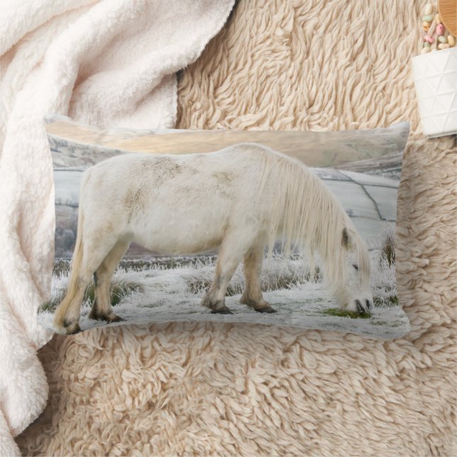 Cojín Lumbar Poni Fell blanco en páramo en invierno (Manta)