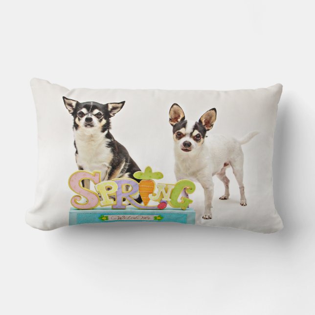 Cojín Lumbar Primavera de Chihuahua (Anverso)
