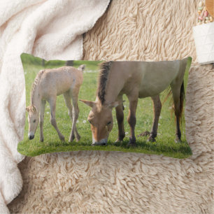 Cojín Lumbar Przewalski's Horse and Foal Grazing