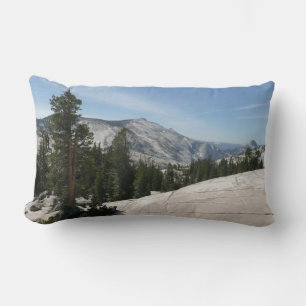 Cojín Lumbar Punto II retirado del Parque Nacional Yosemite