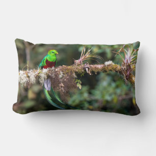 Cojín Lumbar Quetzal Resplandeciente en el Bosque Nuboso