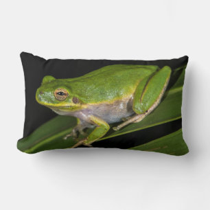 Cojín Lumbar Rana verde arborícola (Hyla cinerea) 2