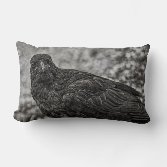 Cojín Lumbar Raven P9239 (Anverso)