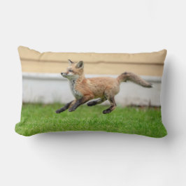 Cojín Lumbar Red Fox Kit en el Valle de Hudson