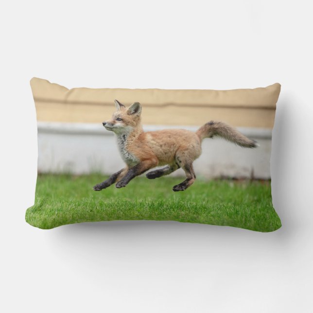 Cojín Lumbar Red Fox Kit en el Valle de Hudson (Anverso)