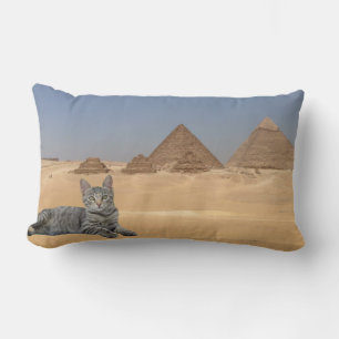 Cojín Lumbar Regla.Cojín decorativo de gatos