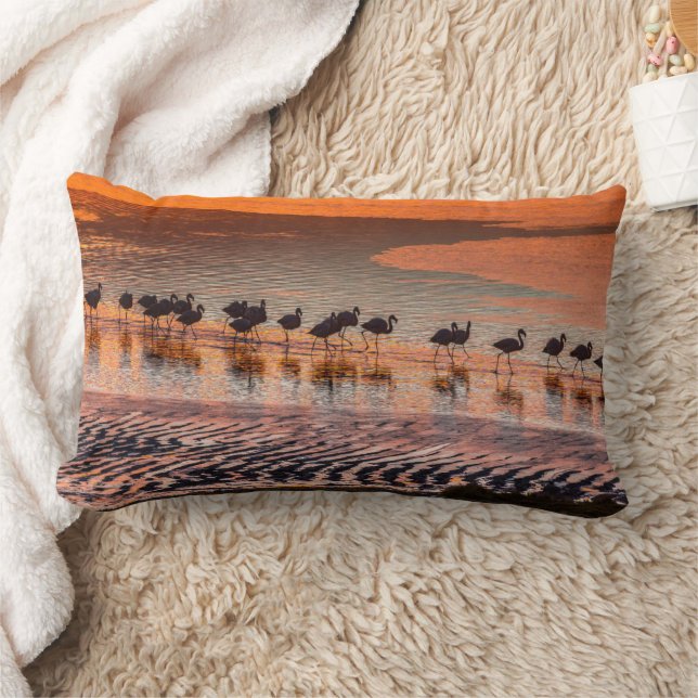 Cojín Lumbar Reserva Nacional de la Fauna Andina Eduardo Abaroa (Manta)