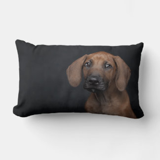 Cojín Lumbar Retrato de cachorro adorable Rhodesian Ridgeback P