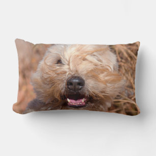 Cojín Lumbar retrato de Soft Coated Wheaten Terrier