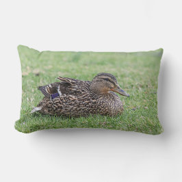 Cojín Lumbar Retrato de un mallard femenino