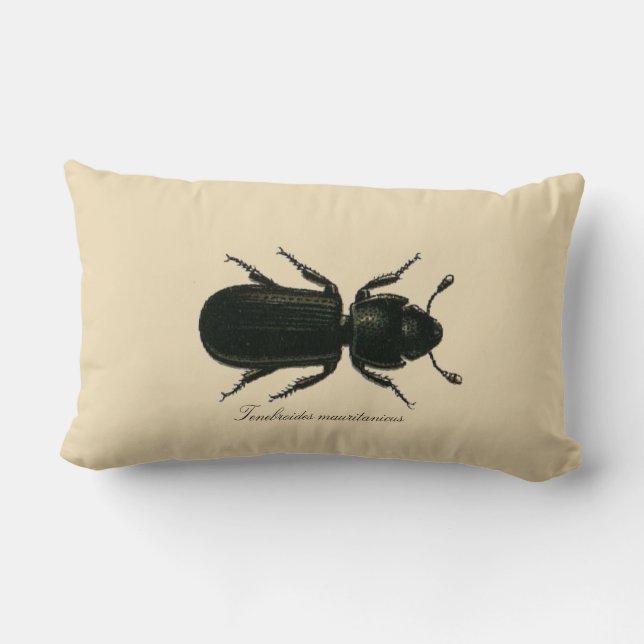 Cojín Lumbar Revers de Entomología de Escarabajo Cadelle de Ins (Reverso )