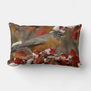 Cojín Lumbar Robin estadounidense masculino en Black Hawthorn