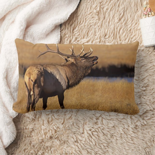 Cojín Lumbar Roosevelt Eull Elk Wyoming (Manta)