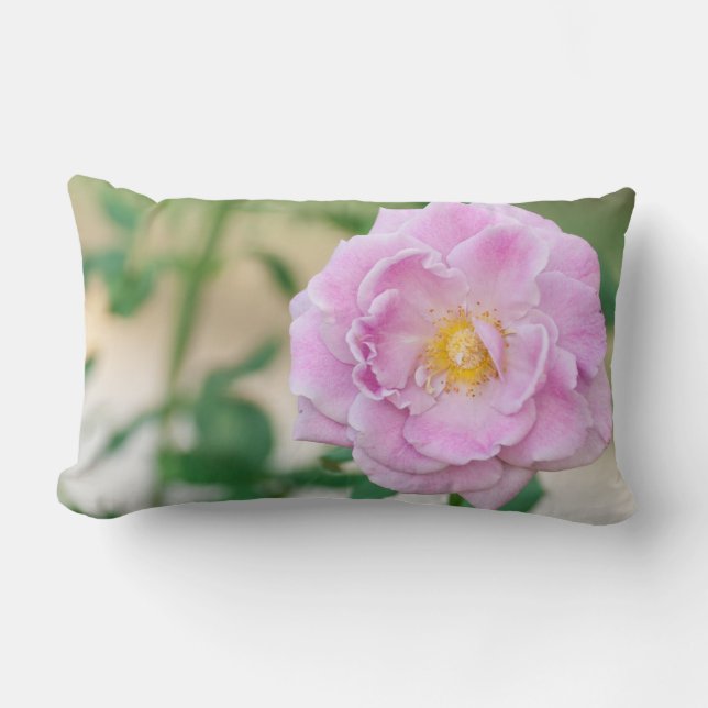 Cojín Lumbar Rosa Briar (Anverso)