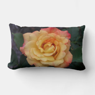 Cojín Lumbar Rosa de paz hermosa floral rosa y amarilla