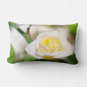 Cojín Lumbar rosa de té