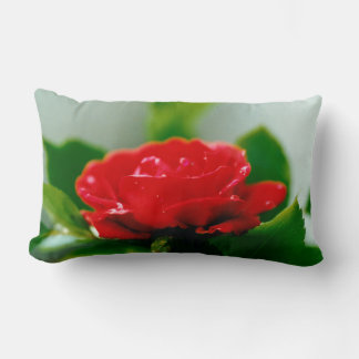 Cojín Lumbar Rosa Roja de la pasión cubierta de rocío