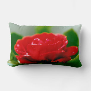 Cojín Lumbar Rosa roja matutina cubierta de rocío