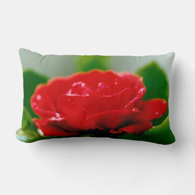 Cojín Lumbar Rosa roja matutina cubierta de rocío (Anverso)