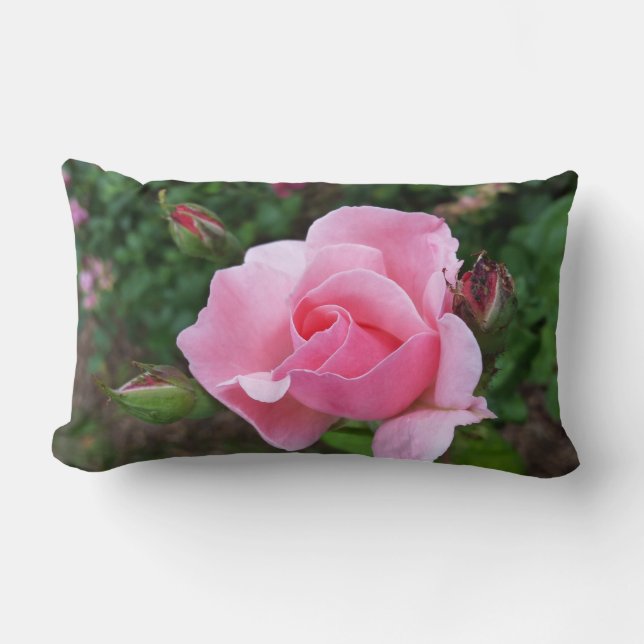 Cojín Lumbar rosa rosa floreciendo (Anverso)