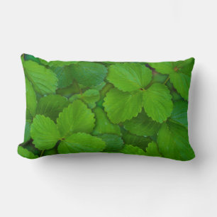 Cojín Lumbar Sacro Basil Hojas de la Moneda Verde de Tulsi