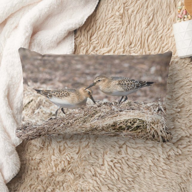 Cojín Lumbar Sandpipers de Baird en la playa del otoño (Manta)