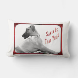 Cojín Lumbar Santa es que tú