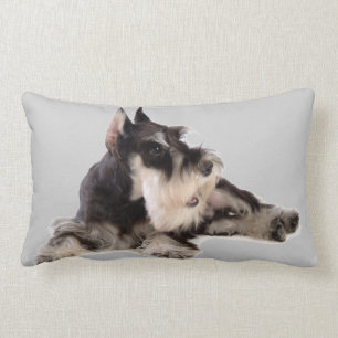COJÍN LUMBAR SCHNAUZER GIGANTE