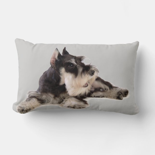 COJÍN LUMBAR SCHNAUZER GIGANTE (Anverso)