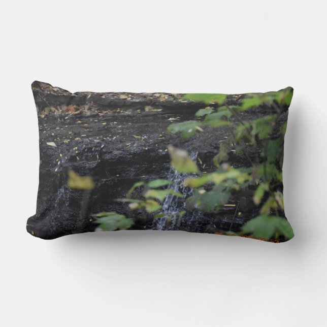 Cojín Lumbar Secuencia no vista (Anverso)