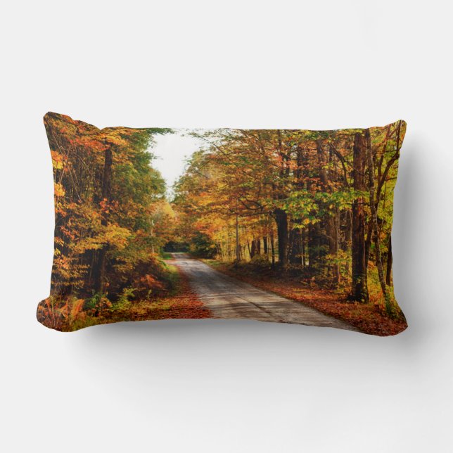 Cojín Lumbar Sendero de madera con follaje de otoño (Anverso)
